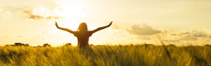 Get started with Provider Assist - Improving Aged Care Standards